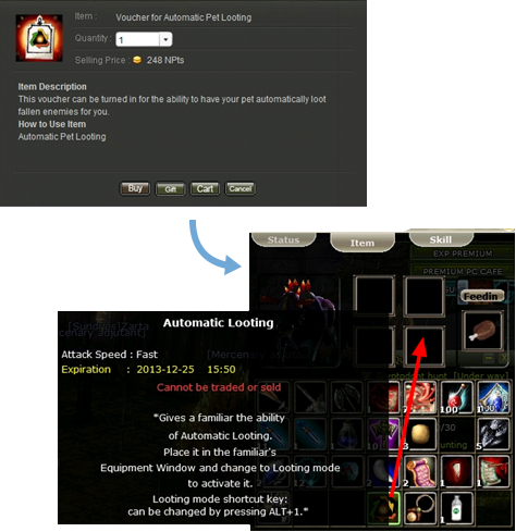 Image of Skill